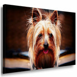 Yorkshire Terrier Leinwandbild AK Art Bilder Mehrfarbig Wandbild Kunstdruck XXL