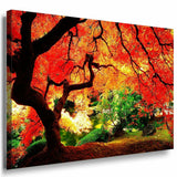 Magische Wald Leinwandbild LaraArt Bilder Mehrfarbig Wandbild