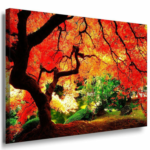 Magische Wald Leinwandbild LaraArt Bilder Mehrfarbig Wandbild