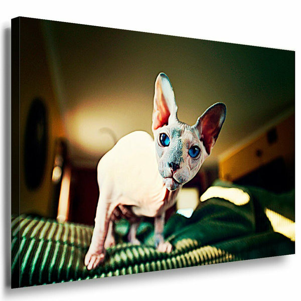 Agyptische Katze Leinwandbild AK Art Bilder Mehrfarbig Wandbild Kunstdruck XXL