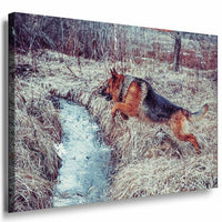 Schaferhund Wald Leinwandbild AK Art Bilder Mehrfarbig Kunstdruck XXL Wandbild