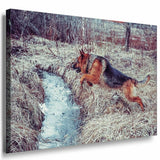 Schaferhund Wald Leinwandbild AK Art Bilder Mehrfarbig Kunstdruck XXL Wandbild