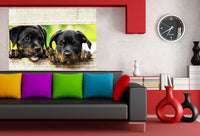 Zwei Hubsche Rottweiller Leinwandbild AK Art Studio Wanddeko Wandbild Kunstdruck
