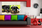 Zwei Hubsche Rottweiller Leinwandbild AK Art Studio Wanddeko Wandbild Kunstdruck