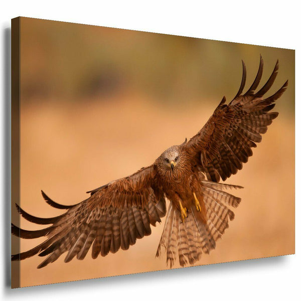 Adler Leinwandbild AK Art Bilder Mehrfarbig Wandbild Kunstdruck Wanddeko TOP XXL 1