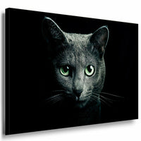 Katze Leinwandbild AK Art Bilder Mehrfarbig Wandbild Kunstdruck Wanddeko TOP XXL 7