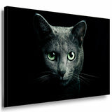Katze Leinwandbild AK Art Bilder Mehrfarbig Wandbild Kunstdruck Wanddeko TOP XXL 7