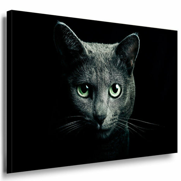Katze Leinwandbild AK Art Bilder Mehrfarbig Wandbild Kunstdruck Wanddeko TOP XXL 7