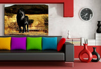 Schwarze Lowe Leinwandbild AK Art Bilder Mehrfarbig Wandbild Kunstdruck Wanddeko