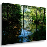 Bach Wald Grun Leinwandbild AK Art Bilder Mehrfarbig Kunstdruck Wandbild TOP XXL