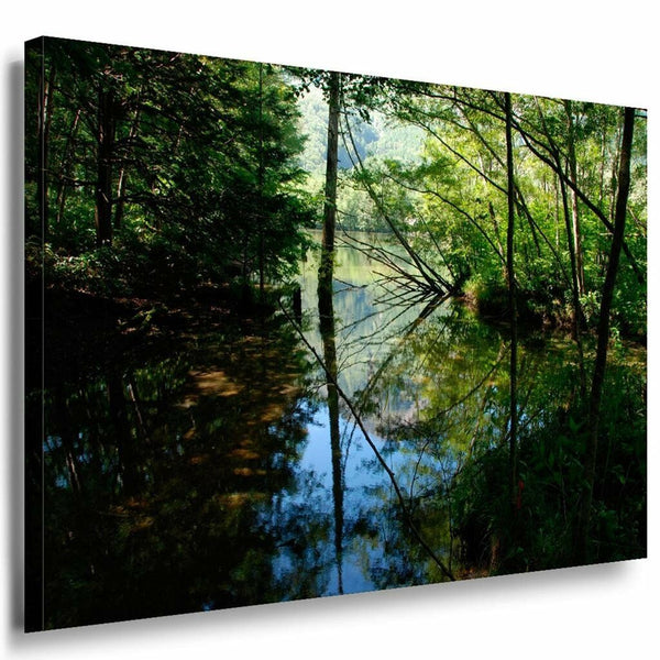 Bach Wald Grun Leinwandbild AK Art Bilder Mehrfarbig Kunstdruck Wandbild TOP XXL