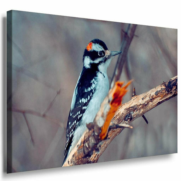 Vogel auf Ast Wald Leinwandbild AK Art Bilder Mehrfarbig Kunstdruck XXL Wandbild
