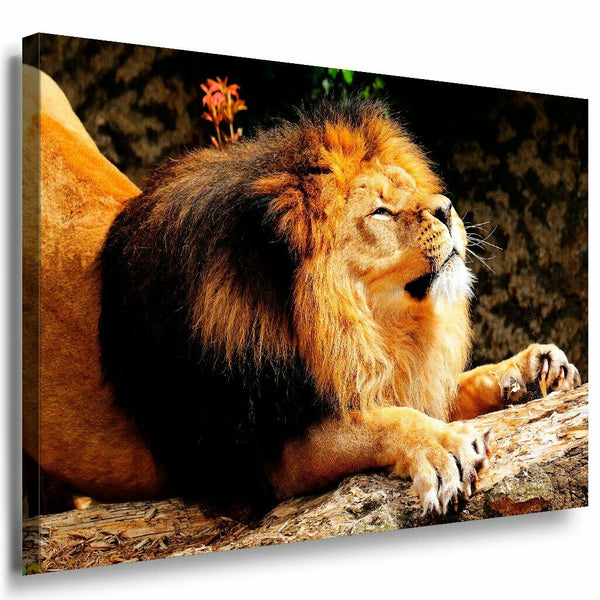 Lowe Leinwandbild AK Art Bilder Mehrfarbig Wandbild Kunstdruck Wanddeko TOP XXL 2