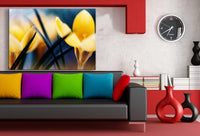 Schlusselblume Gelb Leinwandbild AK Art Bilder Mehrfarbig Wandbild Kunstdruck