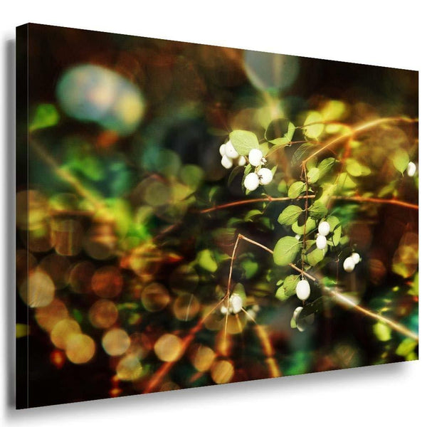 Snowberry Weis Leinwandbild AK Art Bilder Mehrfarbig Wandbild Kunstdruck XXL 1