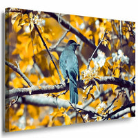 Vogel im Wald Schwarz Leinwandbild AK Art Bilder Mehrfarbig Kunstdruck Wandbild