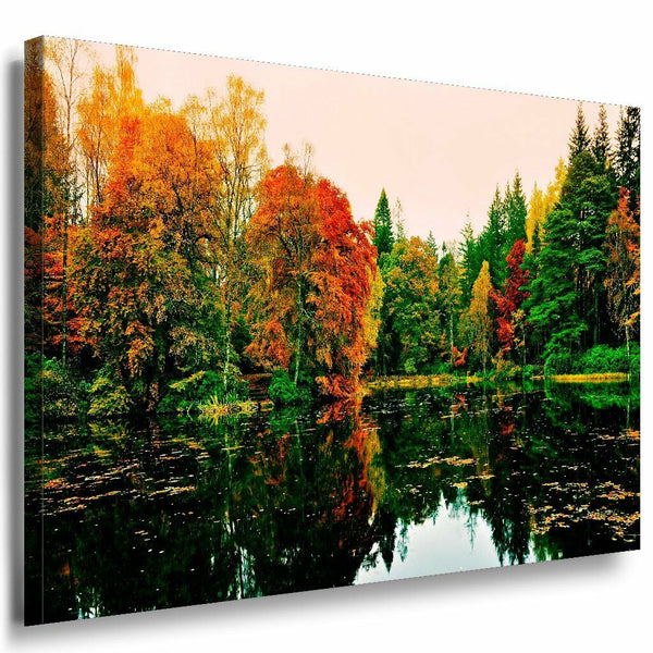 Wald See Leinwandbild AK Art Bilder Mehrfarbig Wandbild Kunstdruck Wanddeko 4