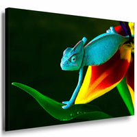Chamaleon Leinwandbild AK Art Bilder Mehrfarbig Wandbild Kunstdruck Wanddeko XXL