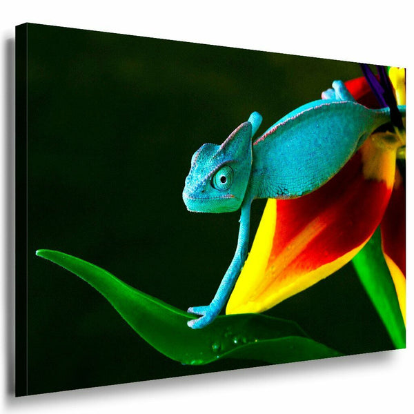 Chamaleon Leinwandbild AK Art Bilder Mehrfarbig Wandbild Kunstdruck Wanddeko XXL