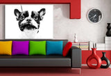 Franzosische Bulldogge Schwarz Weis AK Art Bilder Kunstdruck Made in Germany XXL