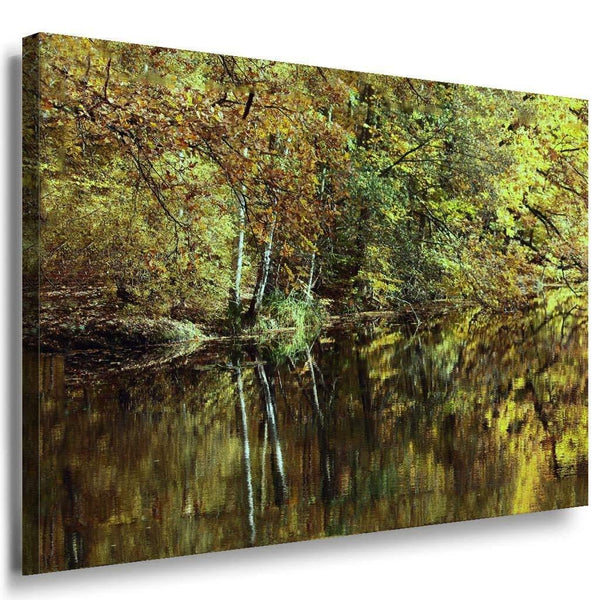 Wald See Leinwandbild AK Art Bilder Mehrfarbig Wandbild Kunstdruck Wanddeko 3