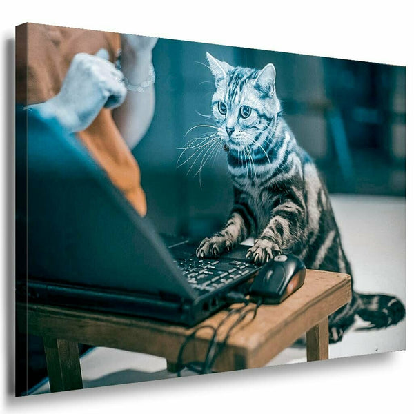 Katze am Computer Leinwandbild AK Art Bilder Mehrfarbig Kunstdruck Wandbild XXL