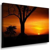 Sonne Klein Baum Rot Leinwandbild AK Art Bilder Mehrfarbig Kunstdruck Wandbild