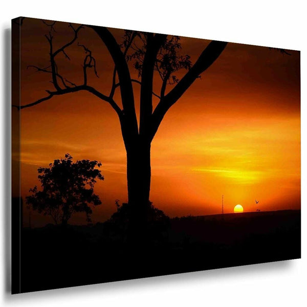 Sonne Klein Baum Rot Leinwandbild AK Art Bilder Mehrfarbig Kunstdruck Wandbild