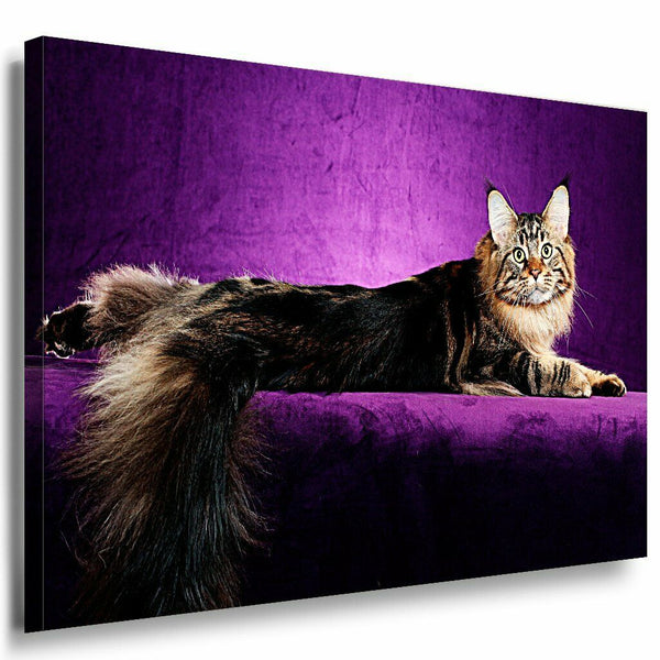 Katze Leinwandbild AK Art Bilder Mehrfarbig Wandbild Kunstdruck Wanddeko TOP XXL 2