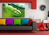 Schlange Leinwandbild AK Art Bilder Mehrfarbig Wandbild Kunstdruck Wanddeko XXL 2