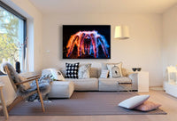 Spinne Lichtspiel Leinwandbild AK ART Kunstdruck Mehrfarbig Wanddeko Wandbild