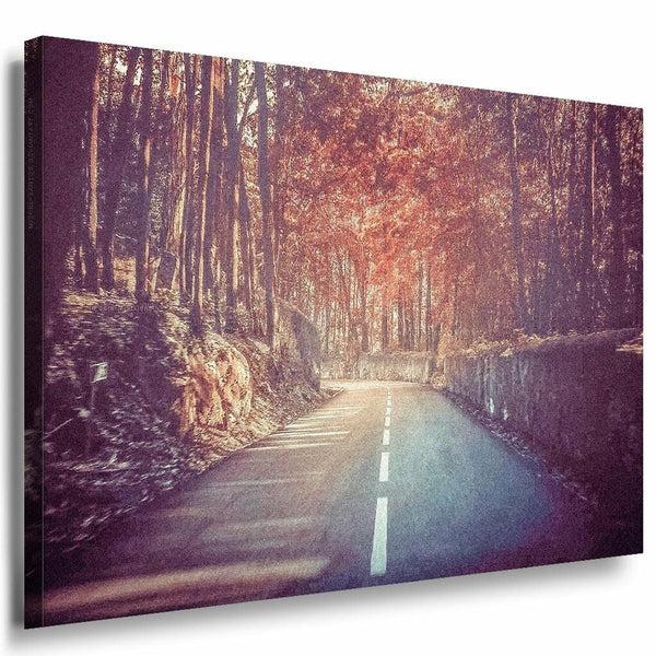 Strase Herbst Baume Leinwandbild AK Art Bilder Mehrfarbig Kunstdruck XXL TOP