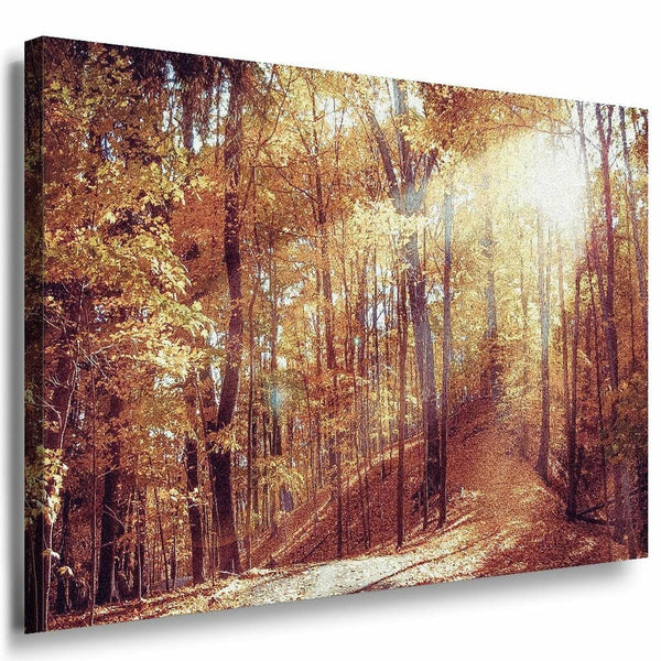 Wald herbst Blatter Leinwandbild AK Art Bilder Mehrfarbig Kunstdruck Wandbild