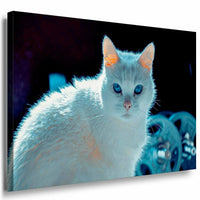 Weise Katze Leinwandbild AK Art Bilder Mehrfarbig Kunstdruck XXL Wandbild TOP
