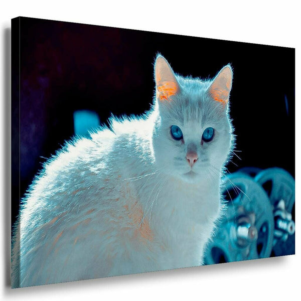 Weise Katze Leinwandbild AK Art Bilder Mehrfarbig Kunstdruck XXL Wandbild TOP
