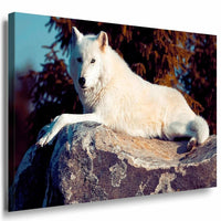 Weiser Wolf Wald Leinwandbild AK Art Bilder Mehrfarbig Kunstdruck Wand