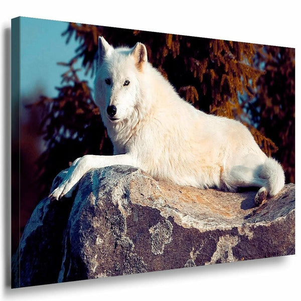 Weiser Wolf Wald Leinwandbild AK Art Bilder Mehrfarbig Kunstdruck Wand