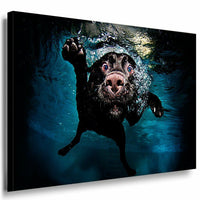 Hund Abstrakt Leinwandbild Ak Art Bilder Mehrfarbig Wandbild Top Geschenk XXL