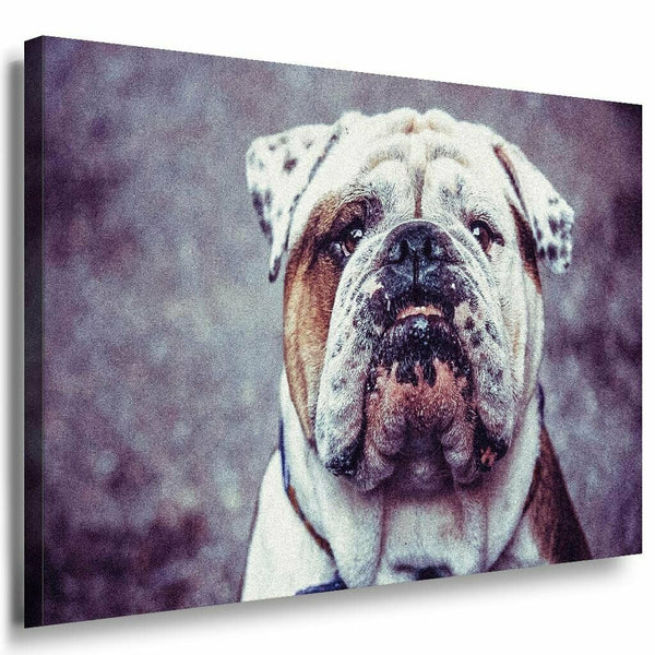 Hund Alt Leinwandbild AK Art Bilder Mehrfarbig Kunstdruck XXL Wandbild Wanddeko