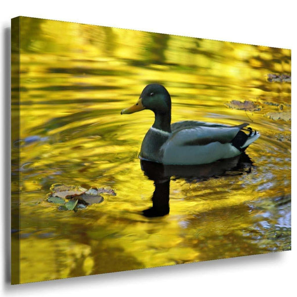 Ente See Leinwandbild AK Art Bilder Mehrfarbig Wandbild Kunstdruck Wanddeko 1