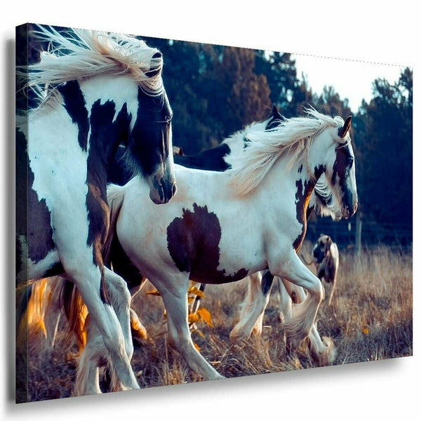 Wilde Pferde Weis Braun Leinwandbild AK Art Bilder Mehrfarbig Kunstdruck TOP XXL