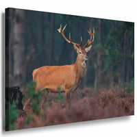Elch im Wald Leinwandbild AK Art Bilder Mehrfarbig Kunstdruck XXL Wandbild TOP