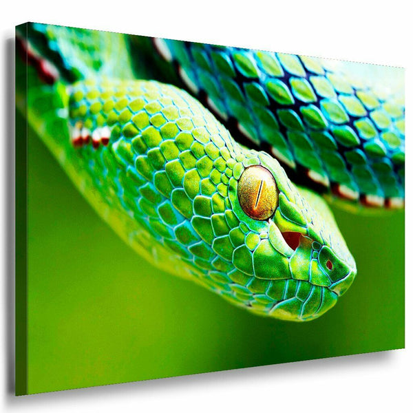 Schlange Leinwandbild AK Art Bilder Mehrfarbig Wandbild Kunstdruck Wanddeko XXL 2