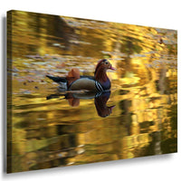 Ente See Leinwandbild AK Art Bilder Mehrfarbig Wandbild Kunstdruck Wanddeko 2