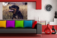 Rottweiler in der Natur Leinwandbild AK Art BilderWanddeko Wandbild Kunstdruck