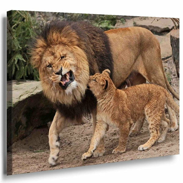 Lowe mit Junge Afrika Leinwandbild AK Art Bilder Mehrfarbig Kunstdruck Wandbild