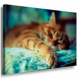Katze im Bett Leinwandbild AK Art Bilder Mehrfarbig Kunstdruck XXL Wandbild TOP