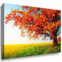 Schone Baum Feld Leinwandbild AK Art Bilder Mehrfarbig Wandbild Kunstdruck XXL