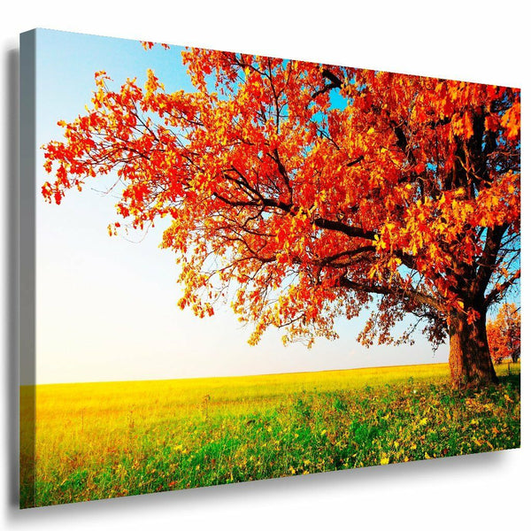 Schone Baum Feld Leinwandbild AK Art Bilder Mehrfarbig Wandbild Kunstdruck XXL