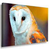Schaferhund Fenster Leinwandbild AK Art Bilder Mehrfarbig Kunstdruck XXL TOP